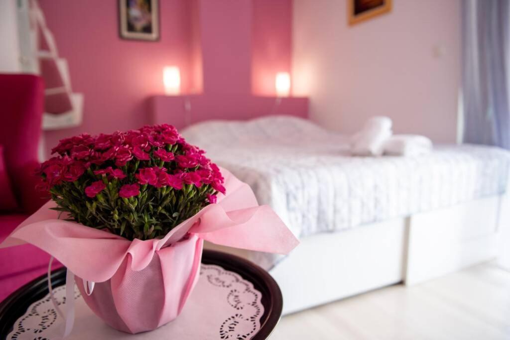 βολτακι στην καρδια της πρεβεζας Apartment Preveza